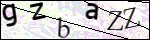 Human Confirmation Code (Captcha)
