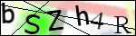 Human Confirmation Code (Captcha)