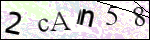 Human Confirmation Code (Captcha)