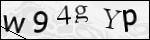 Human Confirmation Code (Captcha)