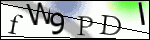 Human Confirmation Code (Captcha)