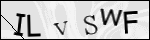 Human Confirmation Code (Captcha)