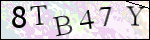 Human Confirmation Code (Captcha)