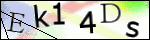 Human Confirmation Code (Captcha)
