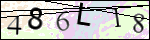 Human Confirmation Code (Captcha)