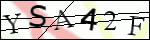 Human Confirmation Code (Captcha)