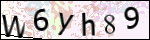 Human Confirmation Code (Captcha)