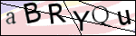 Human Confirmation Code (Captcha)
