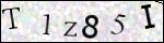 Human Confirmation Code (Captcha)