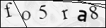 Human Confirmation Code (Captcha)