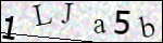 Human Confirmation Code (Captcha)
