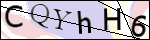 Human Confirmation Code (Captcha)