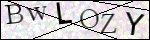 Human Confirmation Code (Captcha)