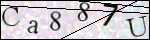 Human Confirmation Code (Captcha)