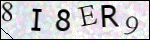 Human Confirmation Code (Captcha)