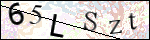Human Confirmation Code (Captcha)