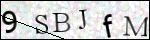 Human Confirmation Code (Captcha)