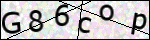 Human Confirmation Code (Captcha)