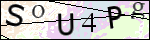 Human Confirmation Code (Captcha)