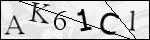 Human Confirmation Code (Captcha)