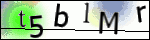 Human Confirmation Code (Captcha)