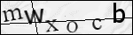 Human Confirmation Code (Captcha)