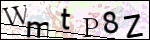 Human Confirmation Code (Captcha)