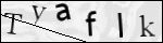 Human Confirmation Code (Captcha)