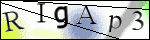Human Confirmation Code (Captcha)