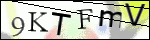 Human Confirmation Code (Captcha)