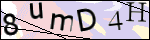 Human Confirmation Code (Captcha)