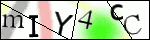 Human Confirmation Code (Captcha)
