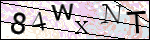 Human Confirmation Code (Captcha)