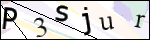 Human Confirmation Code (Captcha)