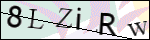 Human Confirmation Code (Captcha)