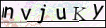 Human Confirmation Code (Captcha)