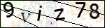 Human Confirmation Code (Captcha)