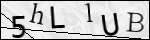 Human Confirmation Code (Captcha)