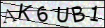 Human Confirmation Code (Captcha)