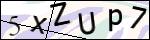 Human Confirmation Code (Captcha)