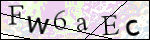 Human Confirmation Code (Captcha)