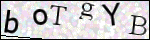 Human Confirmation Code (Captcha)