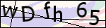 Human Confirmation Code (Captcha)