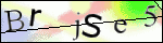 Human Confirmation Code (Captcha)