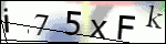 Human Confirmation Code (Captcha)