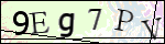 Human Confirmation Code (Captcha)