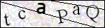 Human Confirmation Code (Captcha)