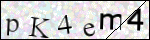 Human Confirmation Code (Captcha)
