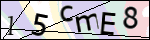 Human Confirmation Code (Captcha)