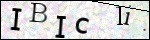 Human Confirmation Code (Captcha)